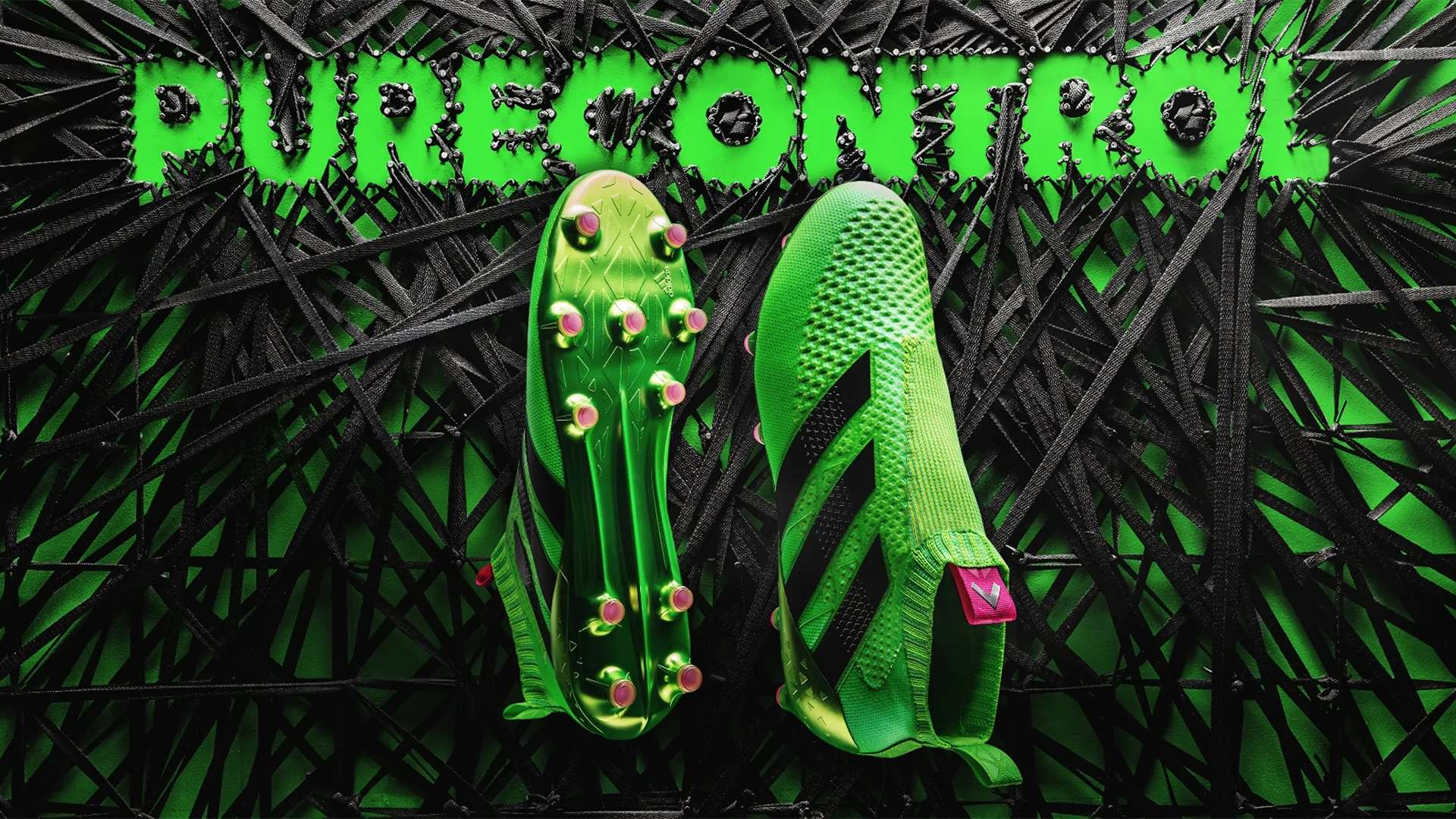 来更多的感 来更多的感