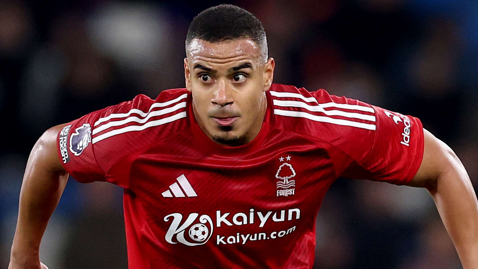 更是无数足 更是无数足